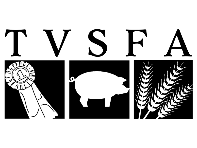 Logo for 2026 Tanana Valley State Fair